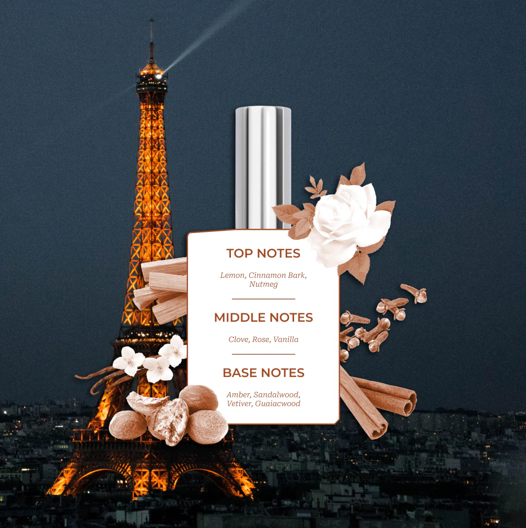 The Destination Collection - Image 3