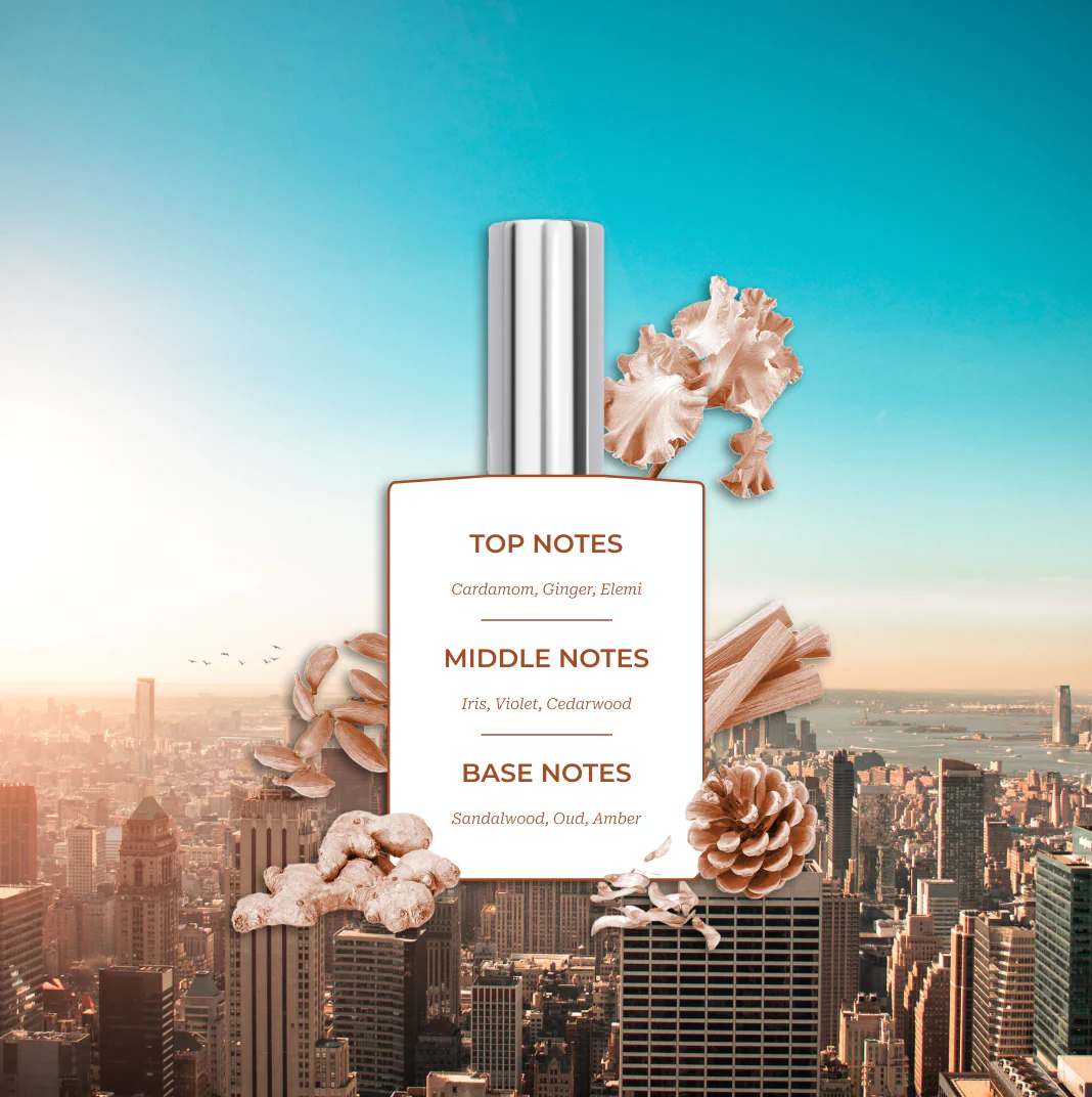 The Destination Collection - Image 5