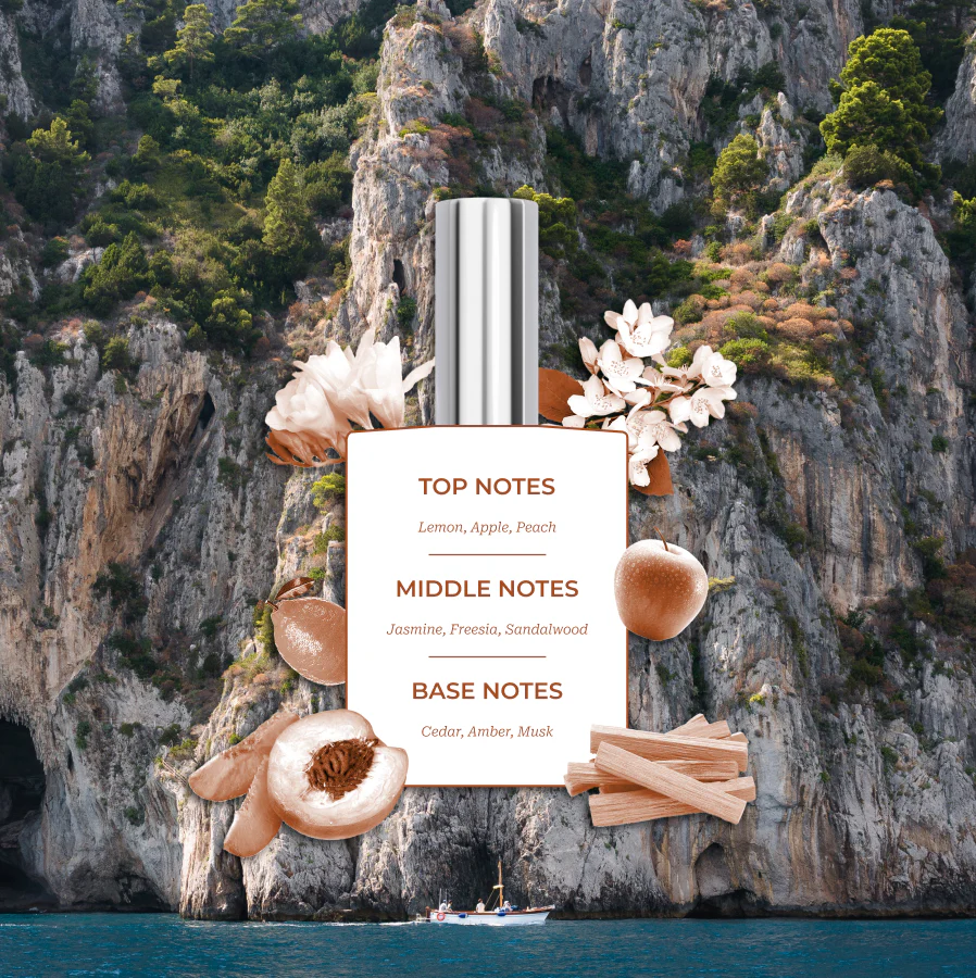 The Destination Collection - Image 6